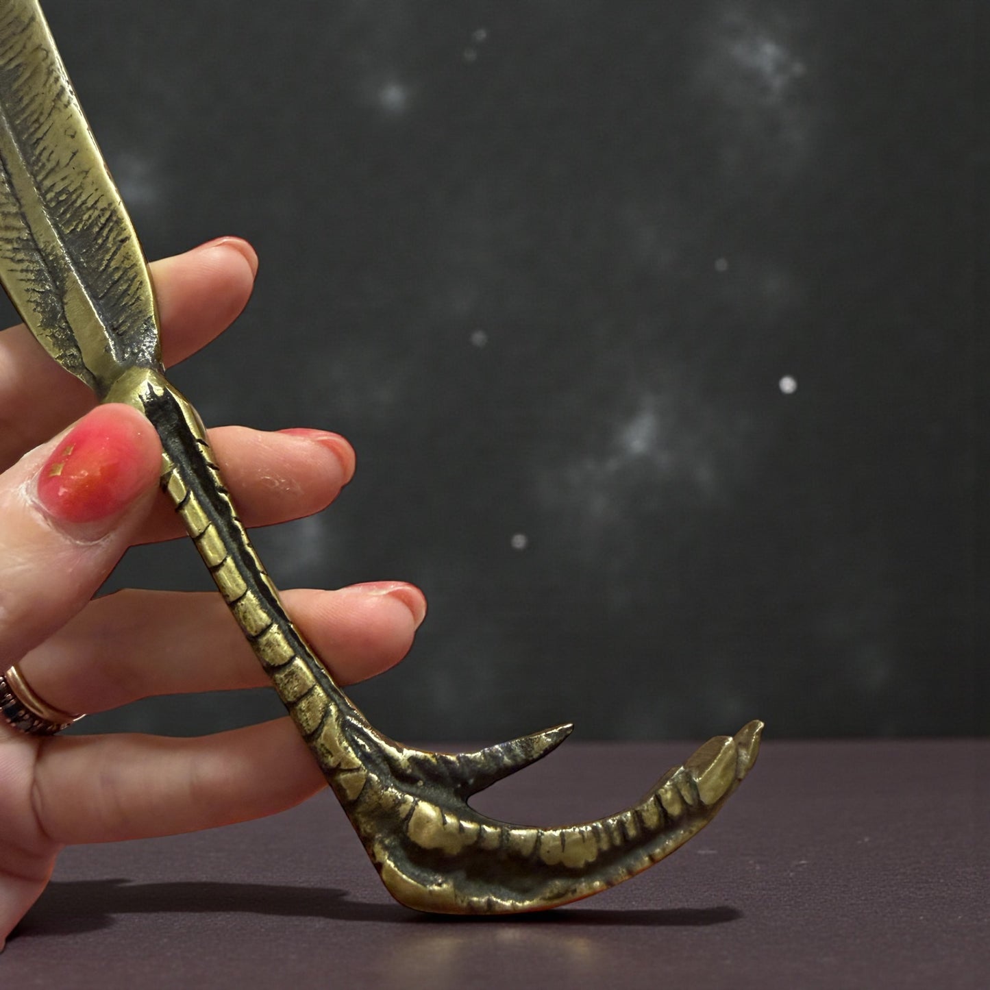 Tagliacarte a guisa di artiglio e piuma, ottone pieno, primo ‘900 spirito wunderkammer