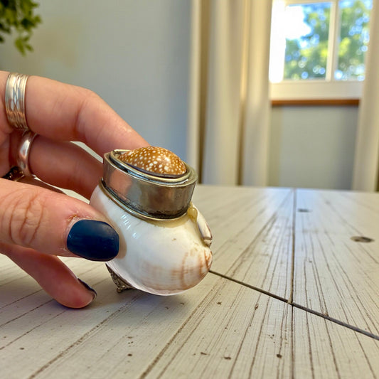 Tabacchiera da fiuto ricavata da valve di conchiglie, ca meta ‘900