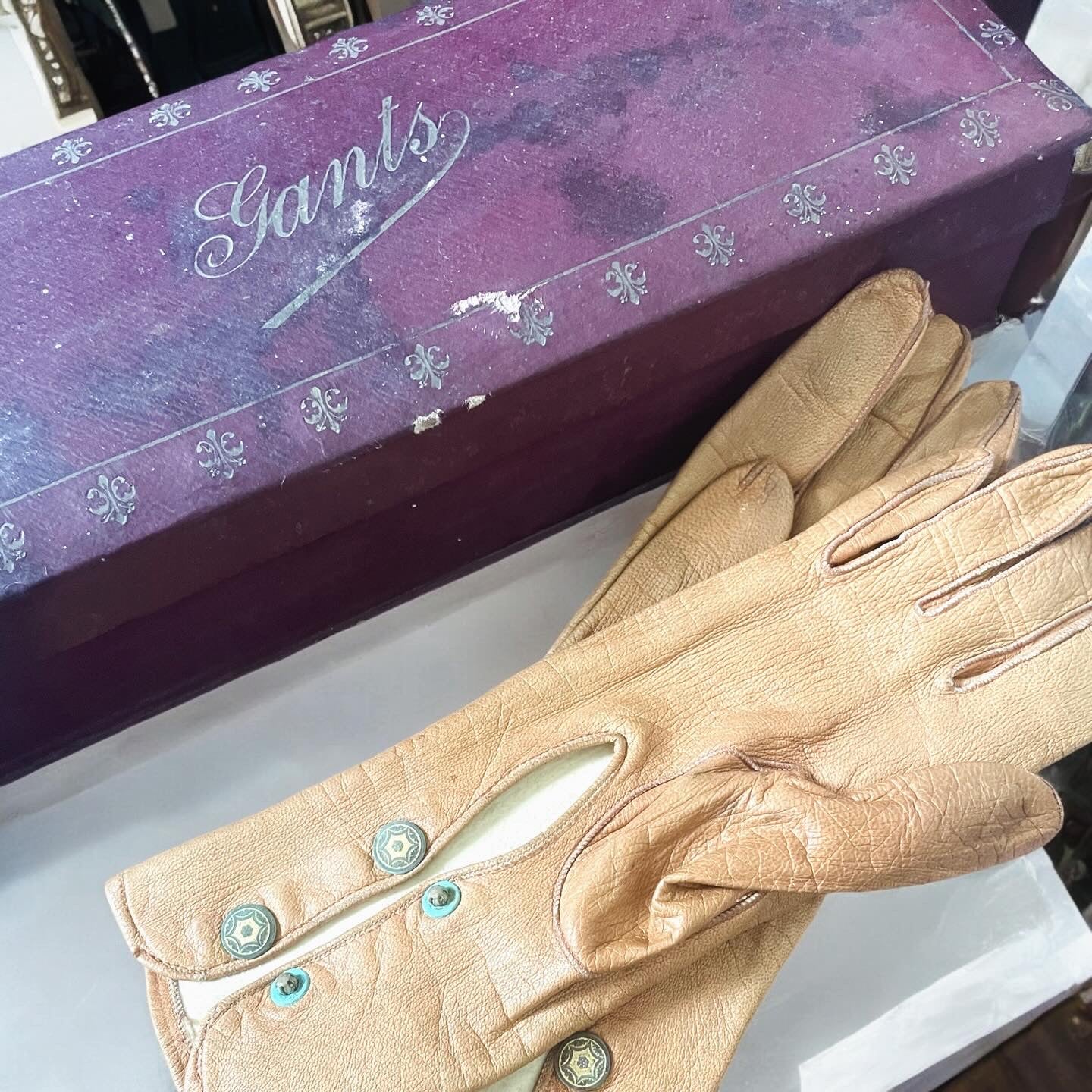 Antique Gloves with Leather Case