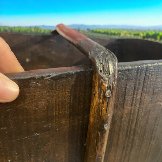 Paniere da vendemmia in legno antico e tralcio incurvato