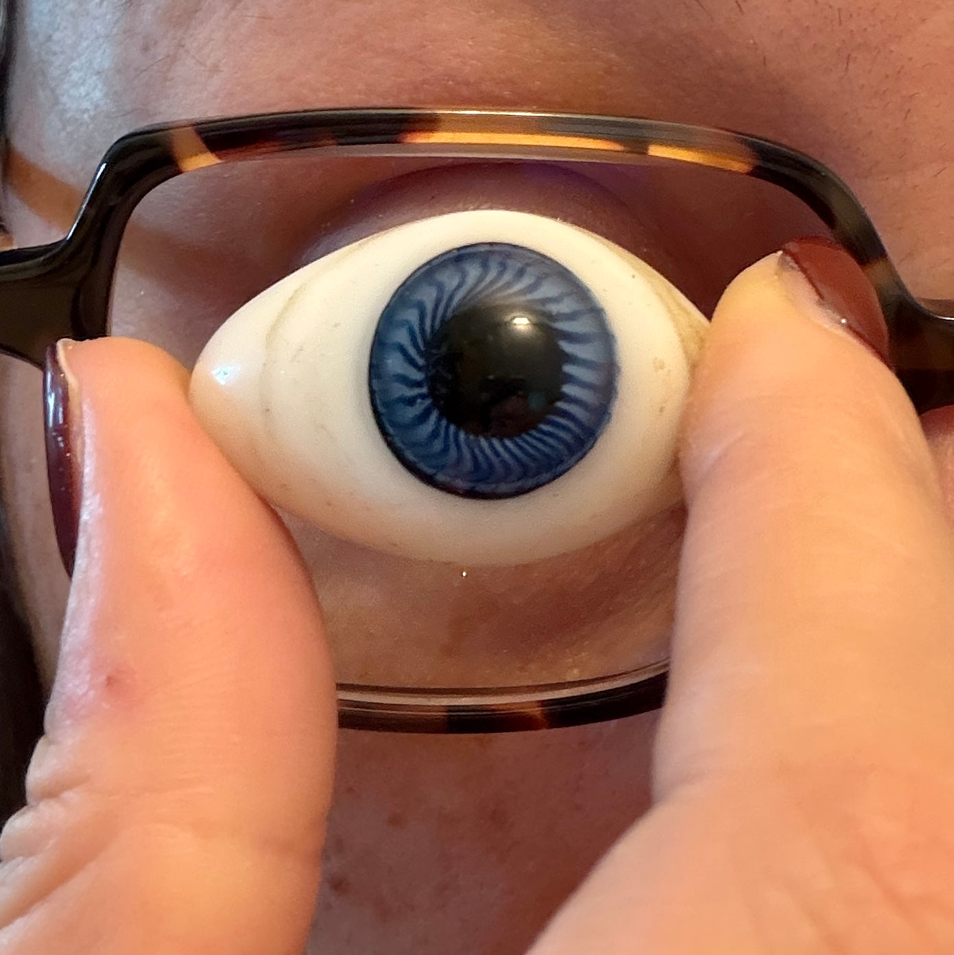 Occhio di vetro modello per protesi oculare medica, fine ‘800 - primo ‘900, blu