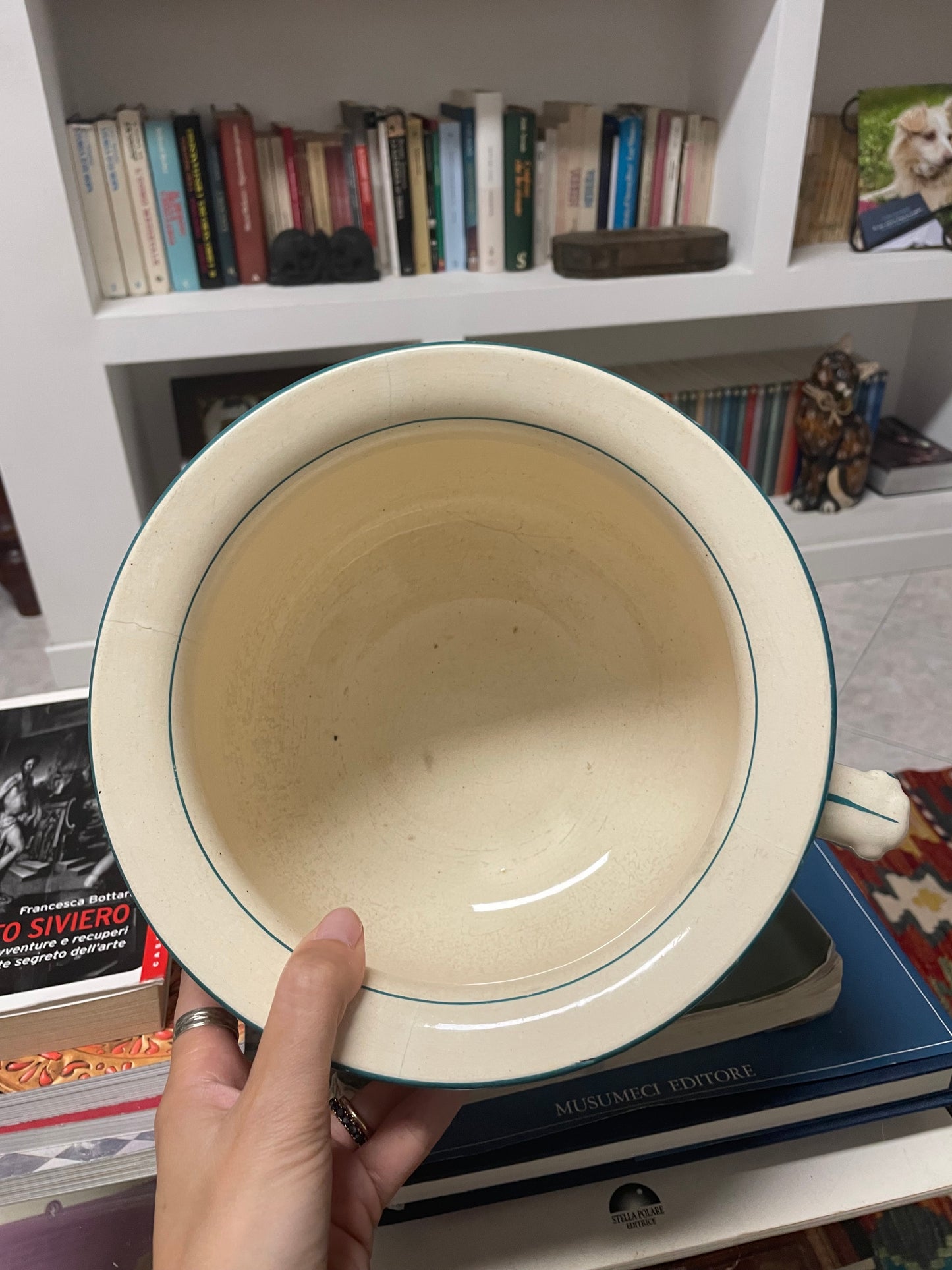 Vaso da notte in terraglia smaltata con viole del pensiero; Faiencerie de Jemappes