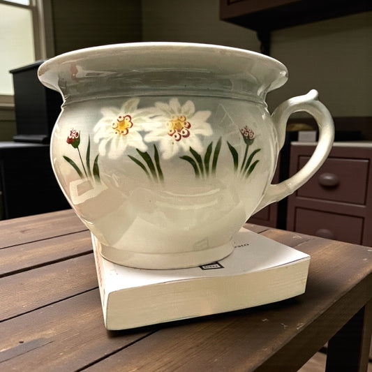 Pot de chambre Villeroy Boch 1925 - 1935 con narcisi
