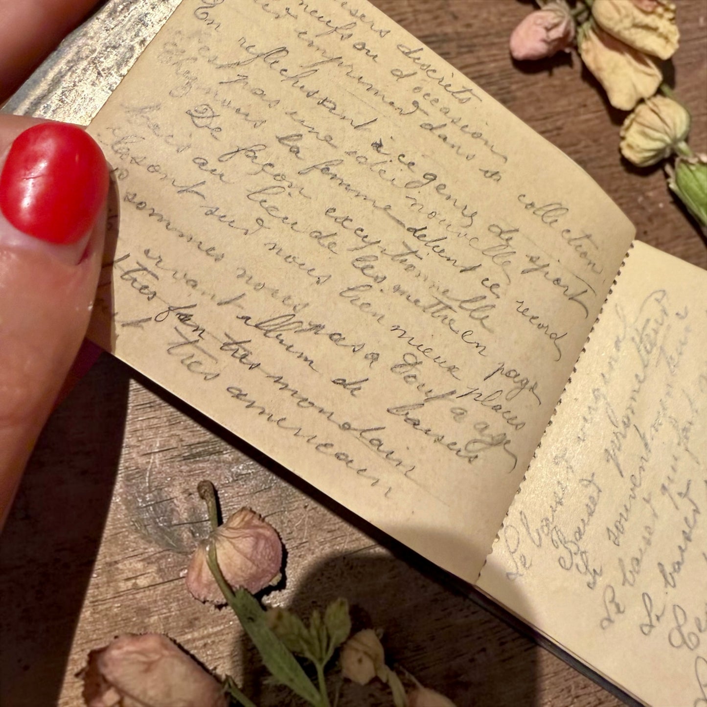 Antico carnet del bal Art Nouveau firmato Dropsy con 21 pagine manoscritte