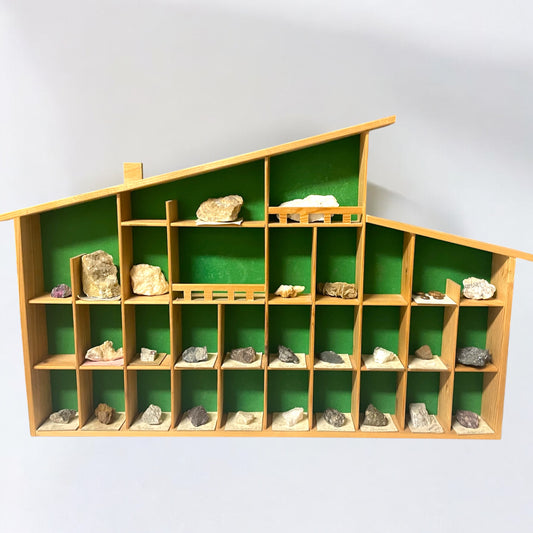 Bacheca con minerali e fossili, collezione cabinet des curiosites anni ‘80