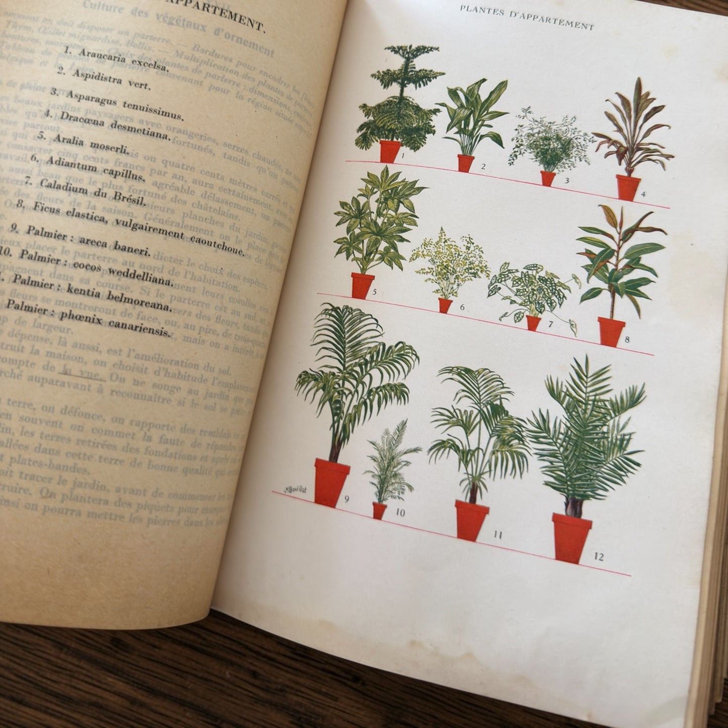 Libro antico sul management della Casa, 1928, illustrazioni in bianco e nero e planches a colori