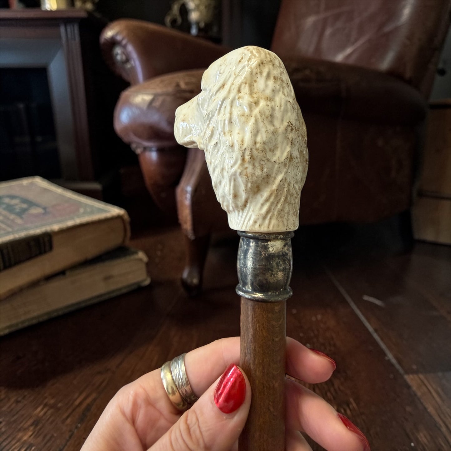 Antico bastone con testa di setter, prima metà ‘900