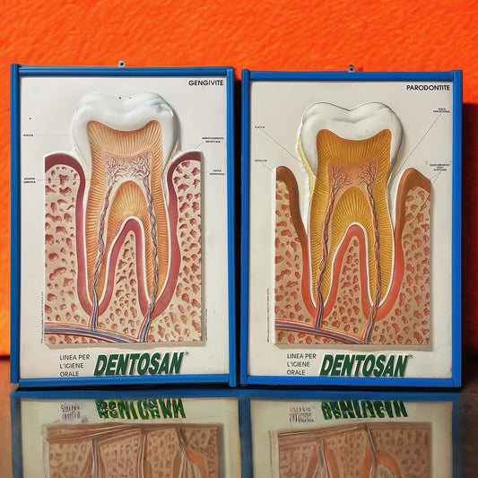 Pair of 70's dentist office panels