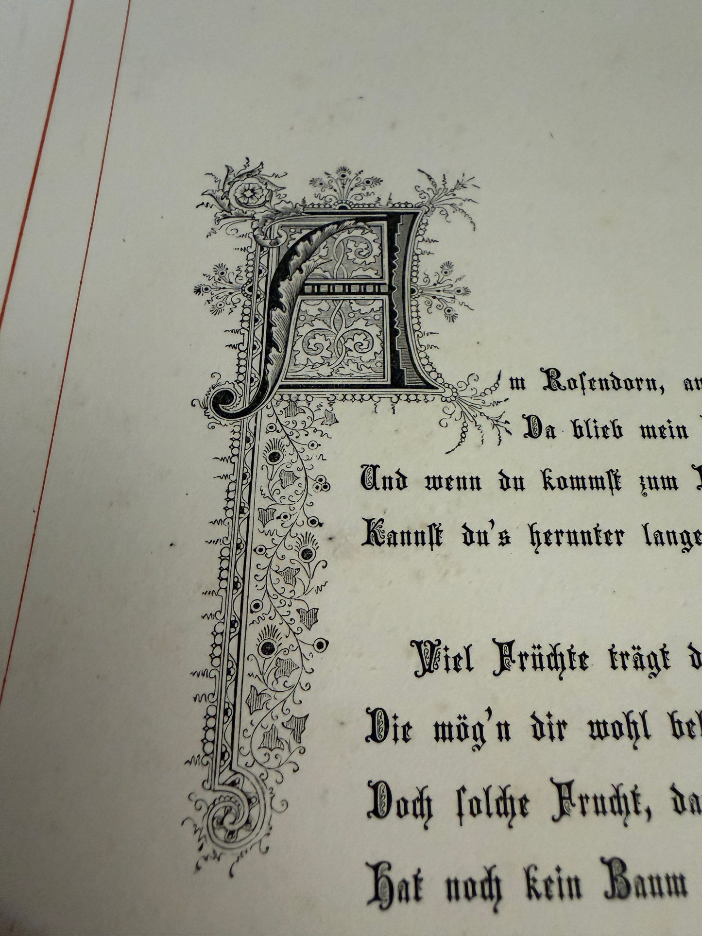 Antico album di canti e poesie Liederleben, Germania fine ‘800 con ricche cromolito