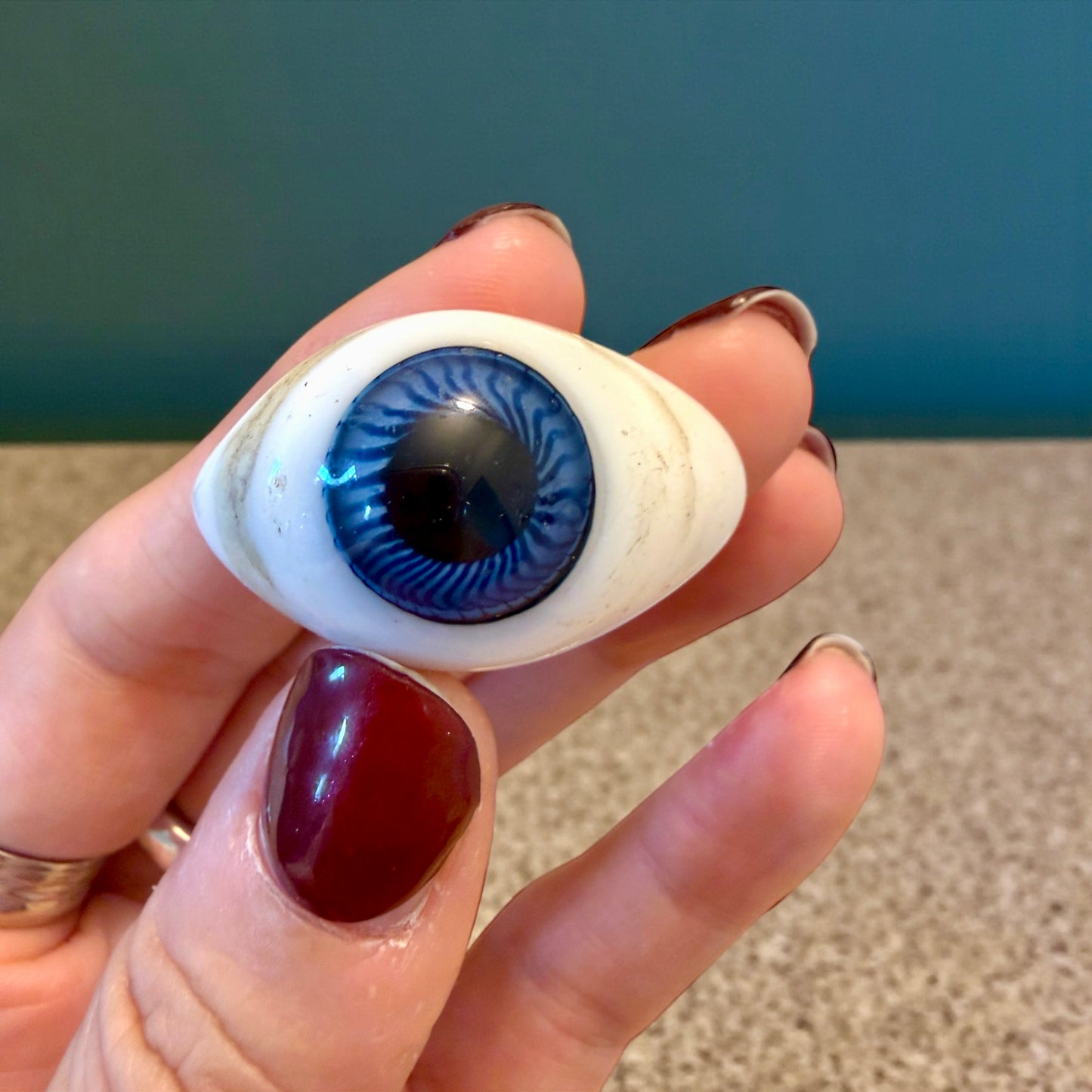 Occhio di vetro modello per protesi oculare medica, fine ‘800 - primo ‘900, blu