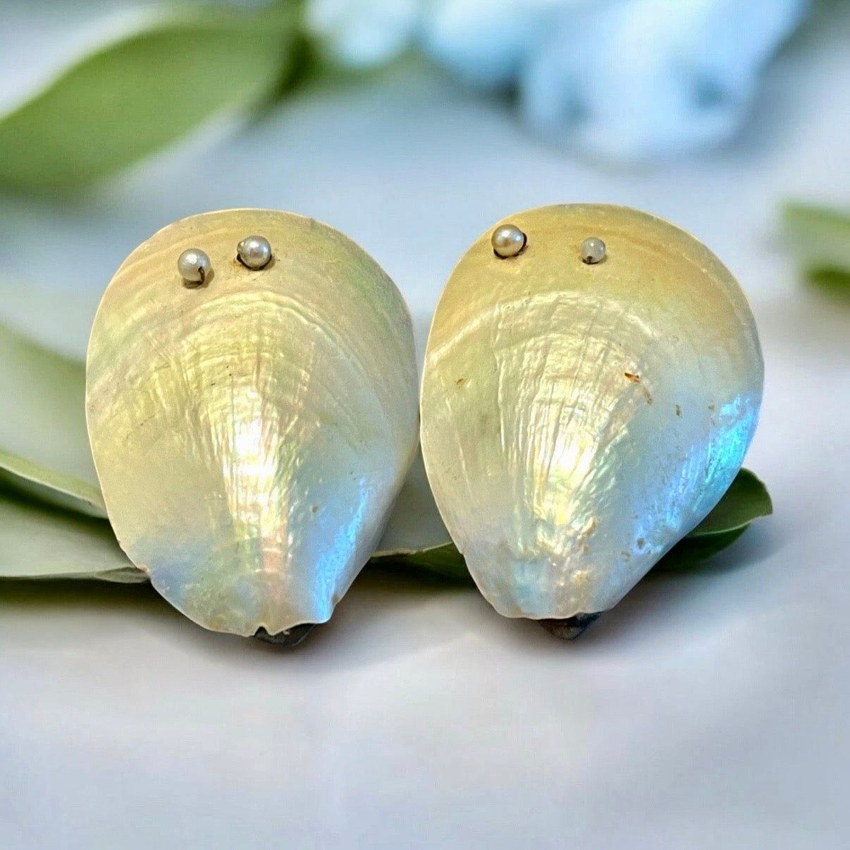 Fibbie antiche gioiello per scarpe, fine ‘800, madreperla ed argento