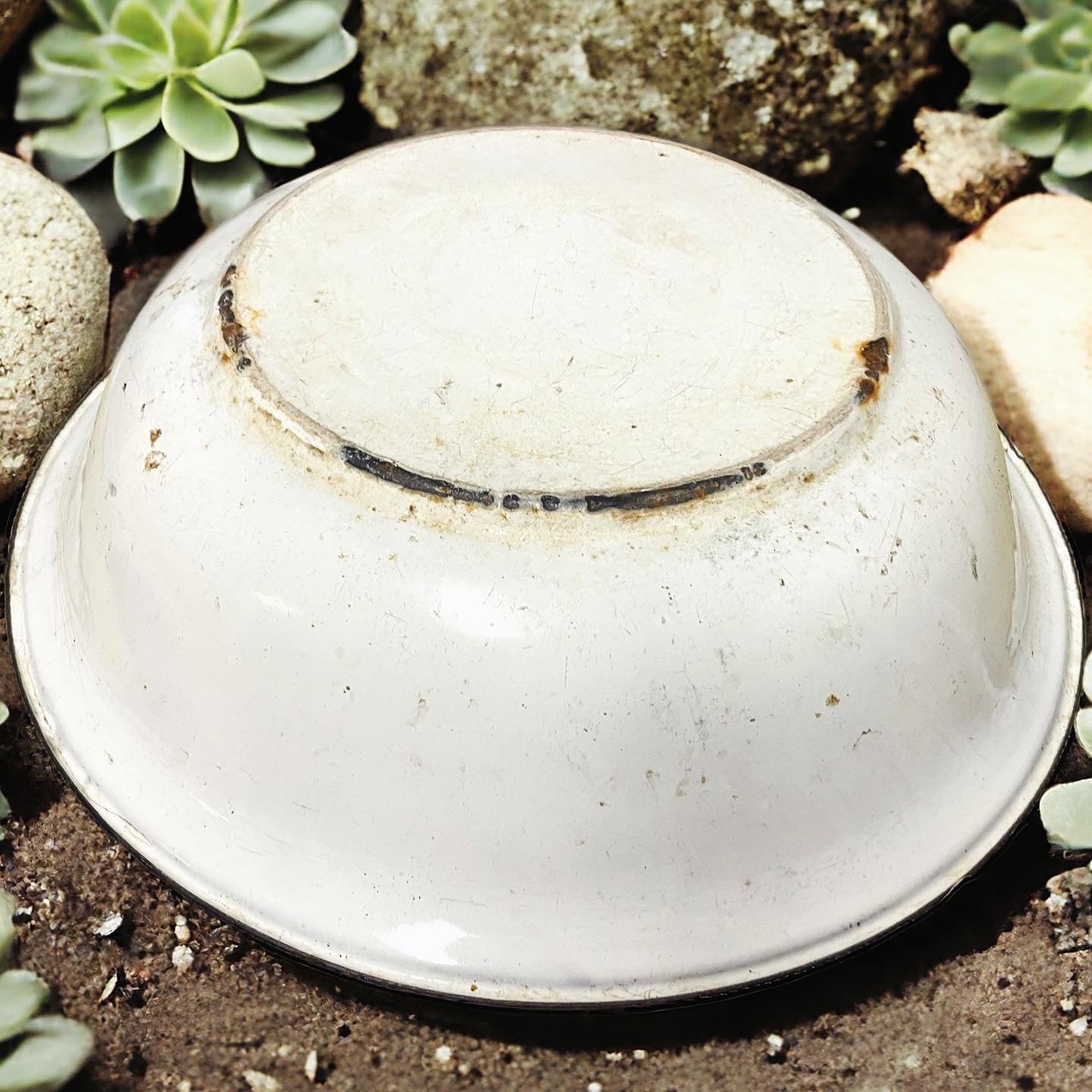 Antique enameled basin from the early 1900s