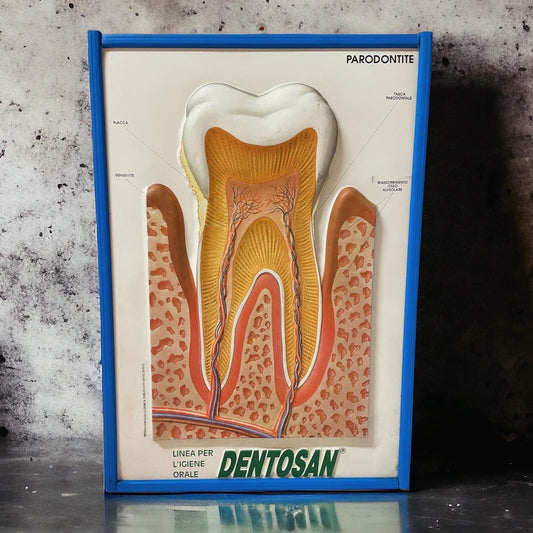 Pair of 70's dentist office panels