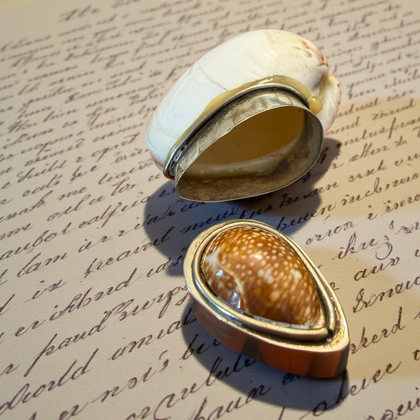 Tabacchiera da fiuto ricavata da valve di conchiglie, ca meta ‘900