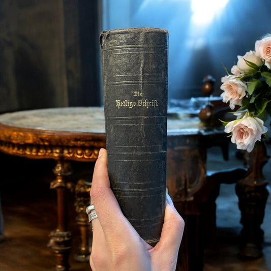 Antica Bibbia luterana del 1904 in caratteri gotici