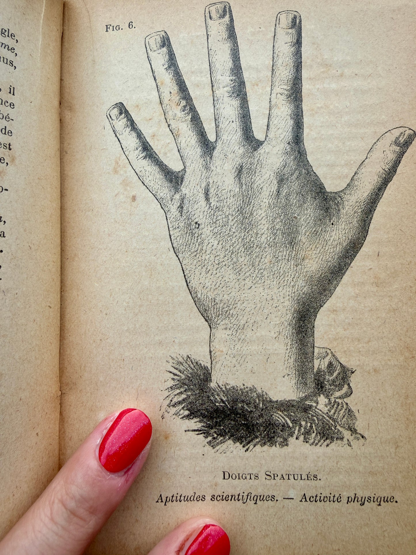 Libro antico di chiromanzia “Que qu’on lit dans la maine”, prima ed. 1906