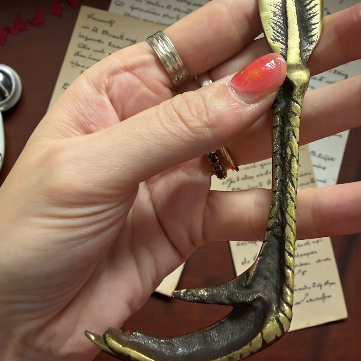 Tagliacarte a guisa di artiglio e piuma, ottone pieno, primo ‘900 spirito wunderkammer