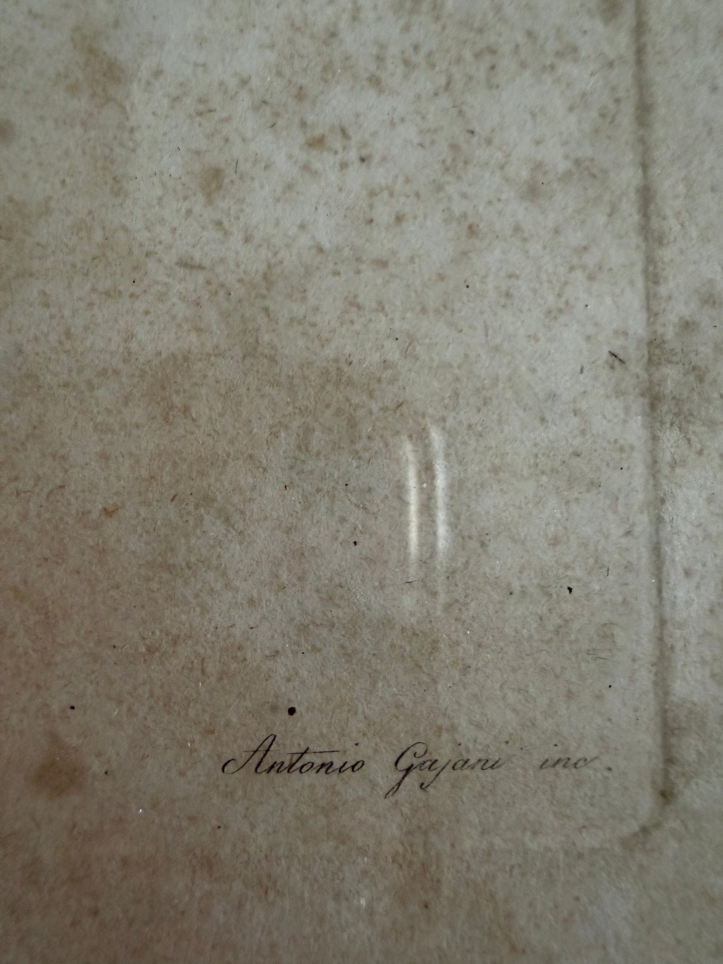 Antica tavola anatomica doppia del 1841 destinata alla Belle Arti, firmata e incorniciata