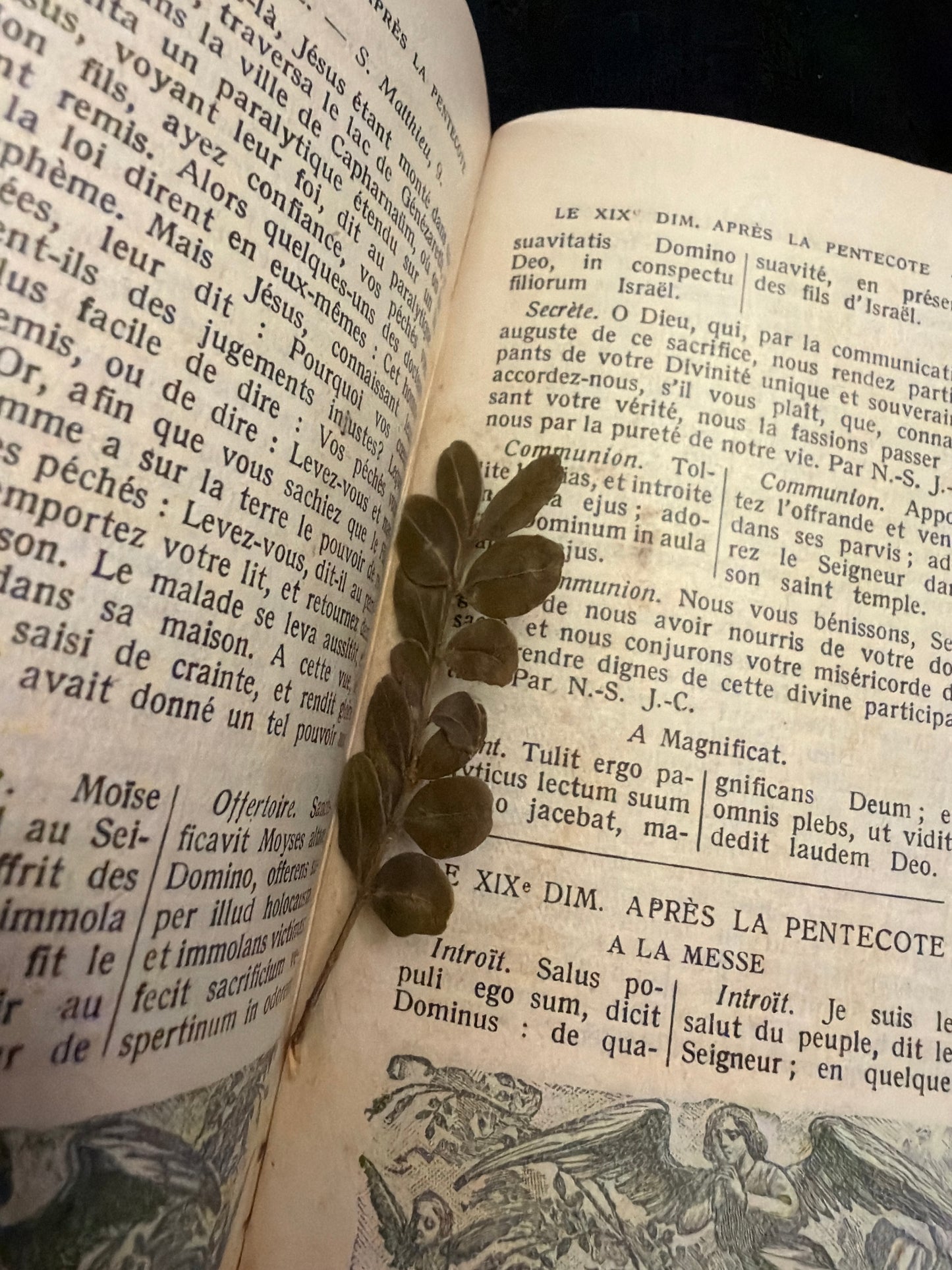 Antico messale romano edito 1923 con rametti di bosso