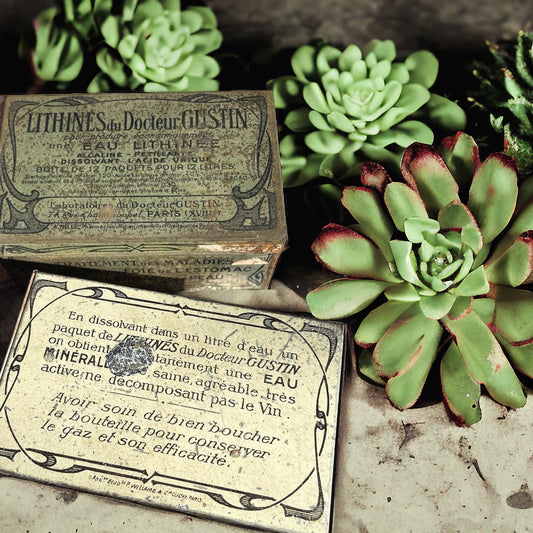 Pair of antique boxes 1900 Lithines