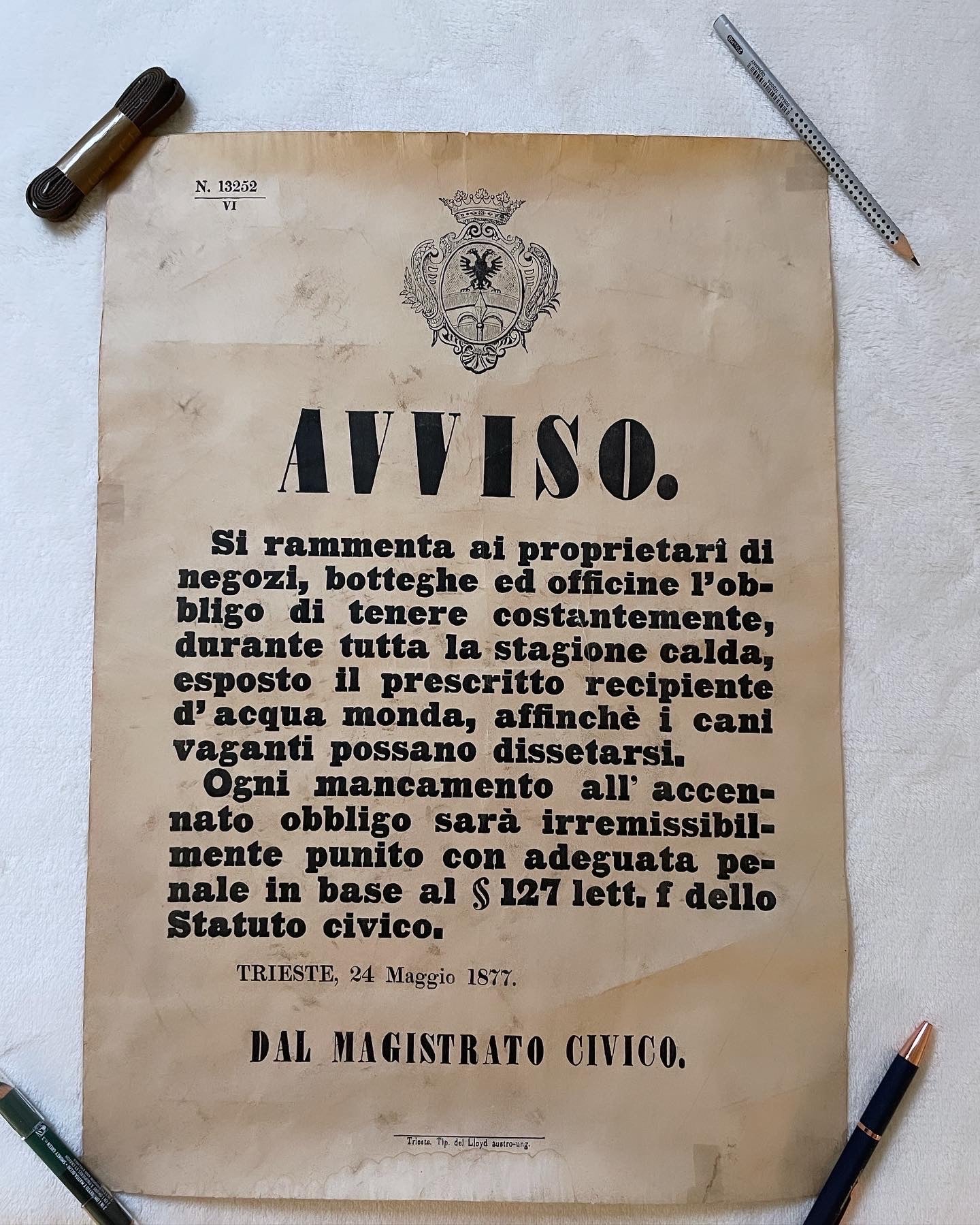 Decreto Trieste 1877