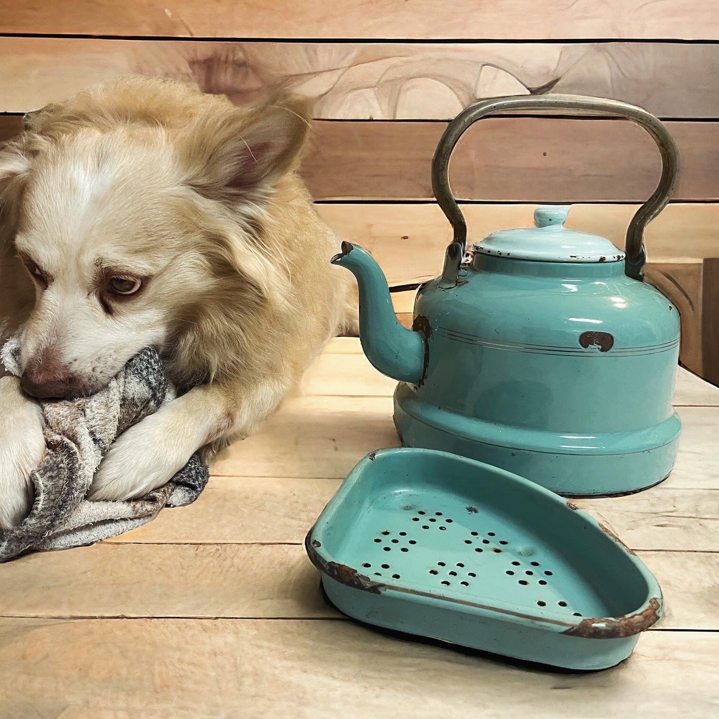 Antique large kettle with strainer