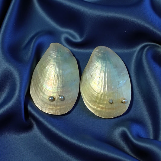 Fibbie antiche gioiello per scarpe, fine ‘800, madreperla ed argento