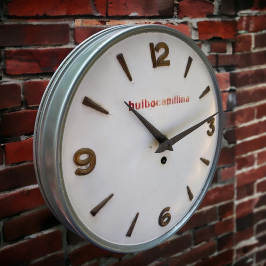 Bulbocapillina 40's clock