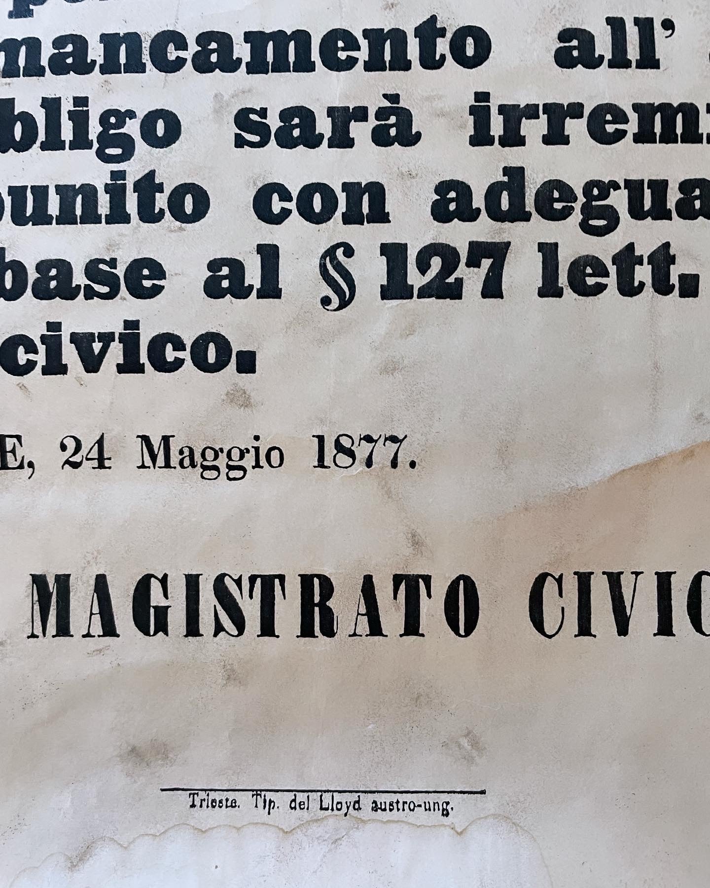 Decreto Trieste 1877