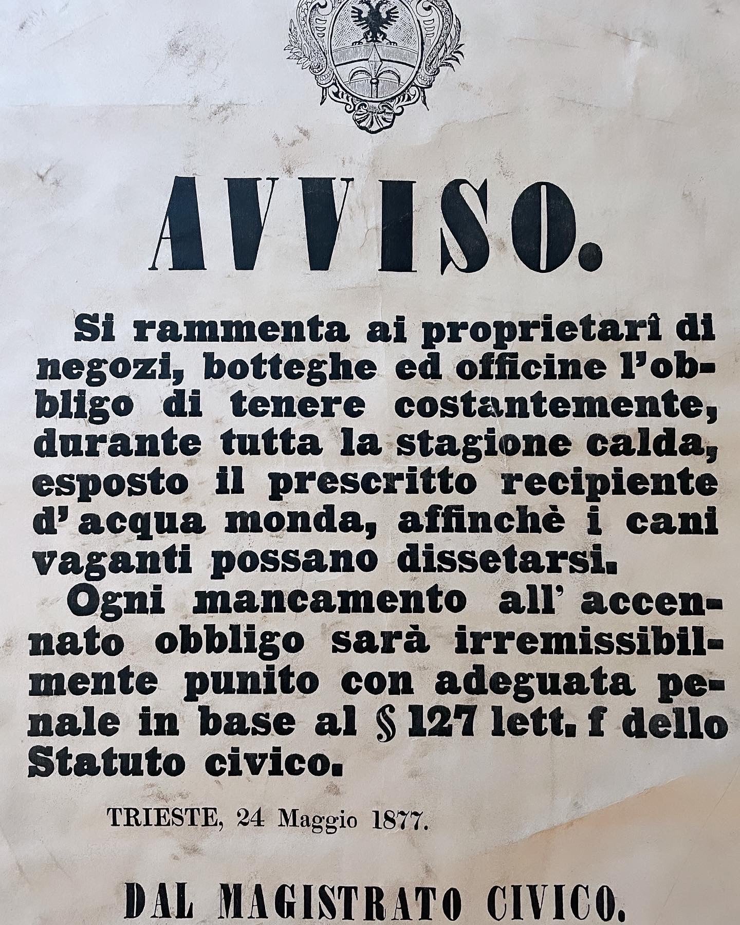 Decreto Trieste 1877