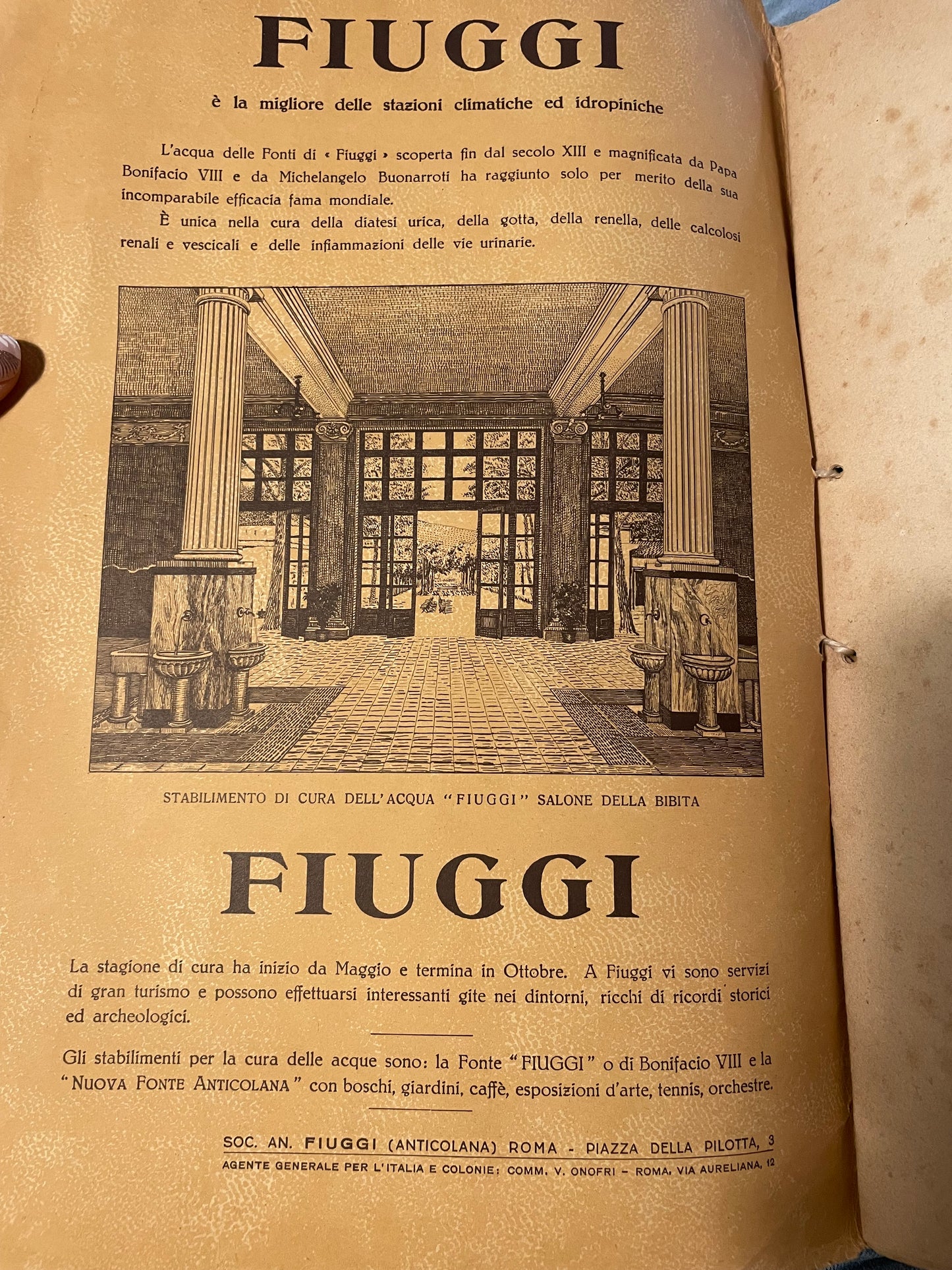 Libro raro 1933 monografia acqua Fiuggi