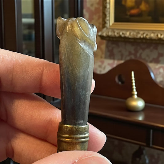 Scultura cane bulldog in corno, manico vittoriano da ombrellino