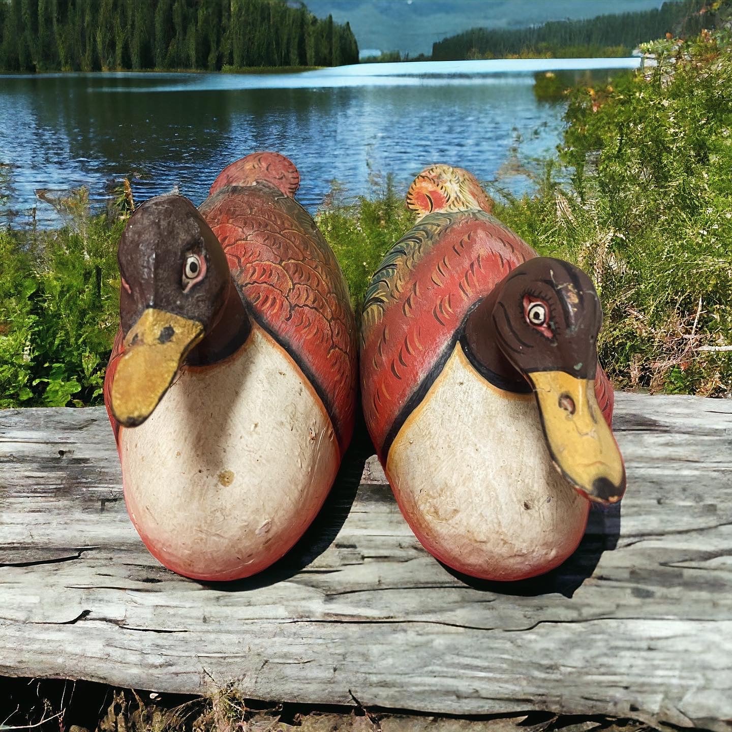 Ducks ancient hunting decoys