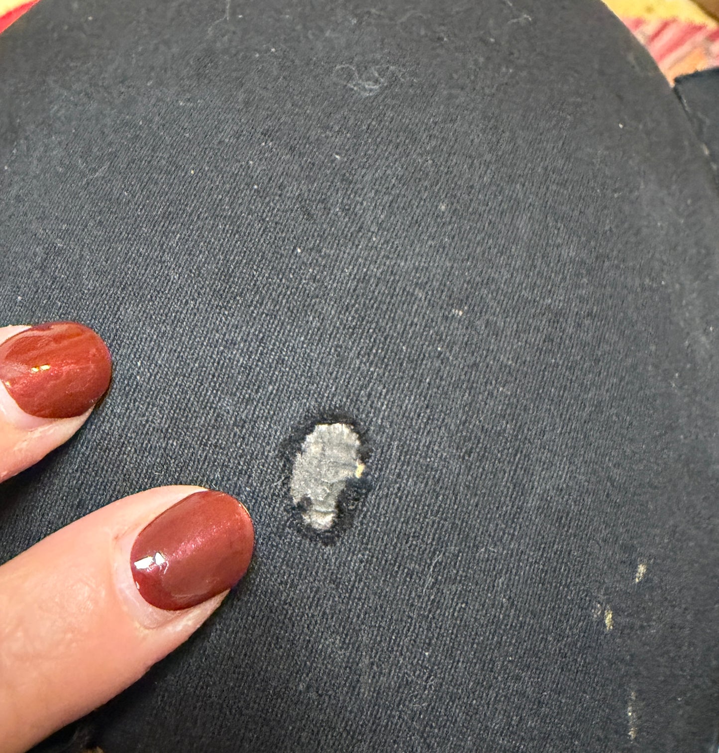 Copricapo antico cerimoniale giapponese Kanmuri con supporto