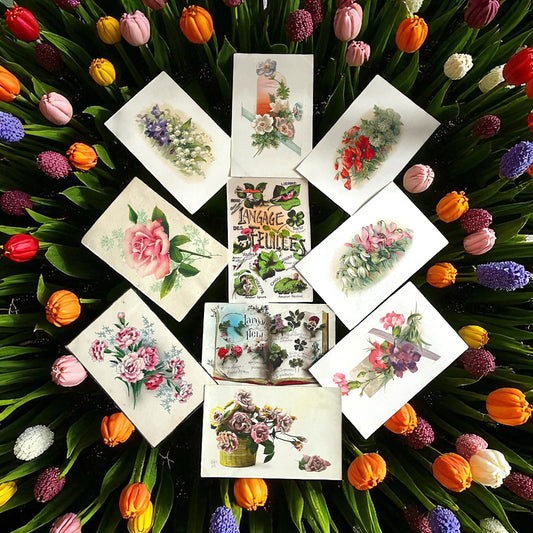 Collezione 11 cartoline linguaggio dei fiori e delle foglie, anni ‘20-‘40