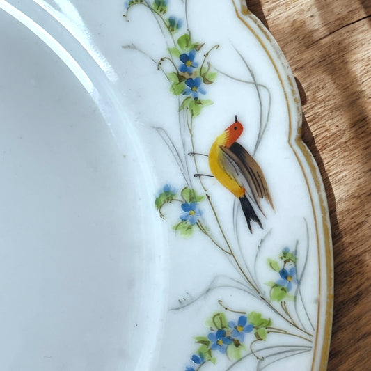 Piatto Ginori con decoro uccellini ante 1896