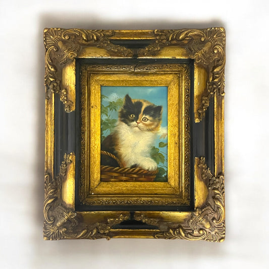 Dipinto ad olio gattino anni ‘40 in cornice tardo ‘800