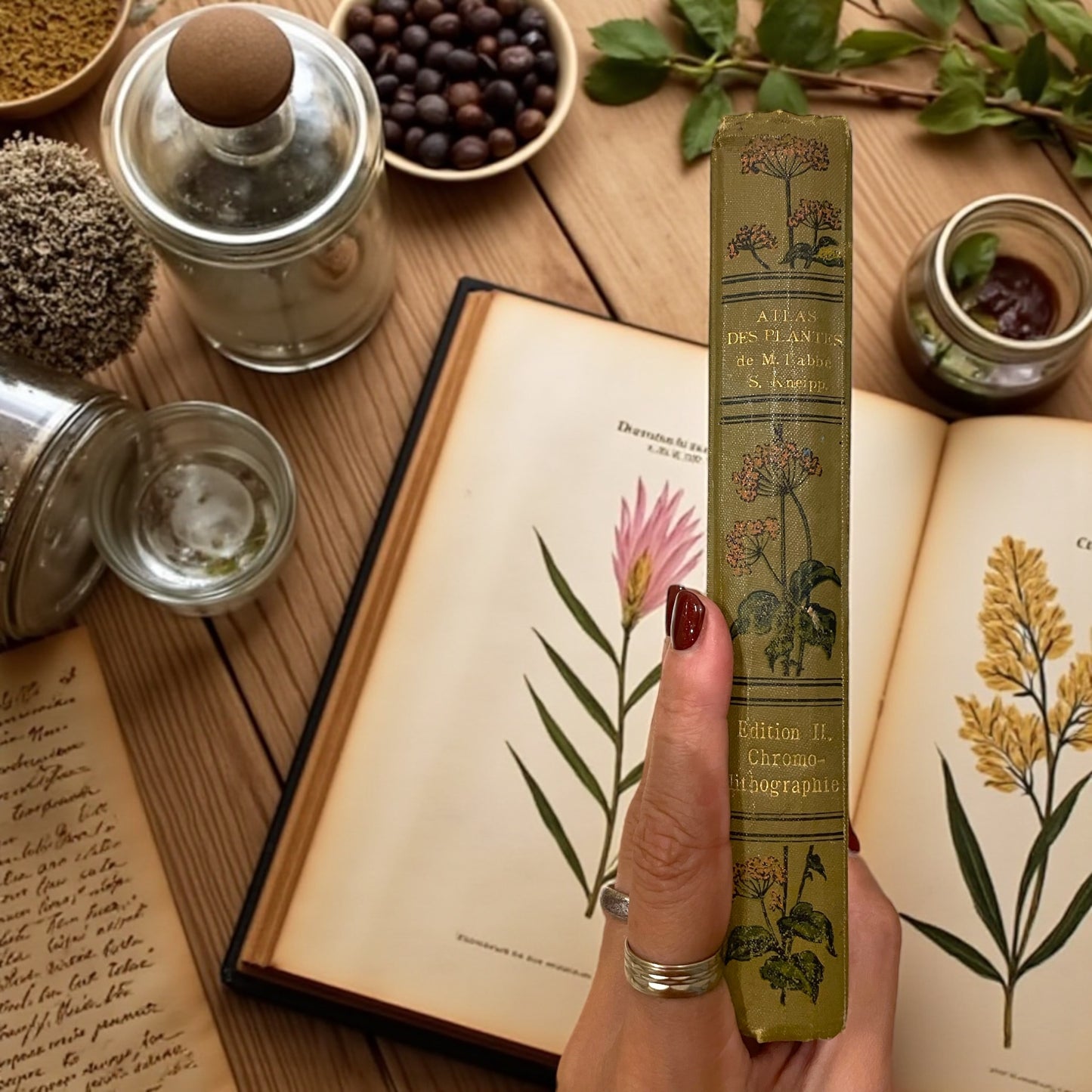 Atlante di naturopatia del 1894, S. Kneipp, 41 cromolitografie botaniche