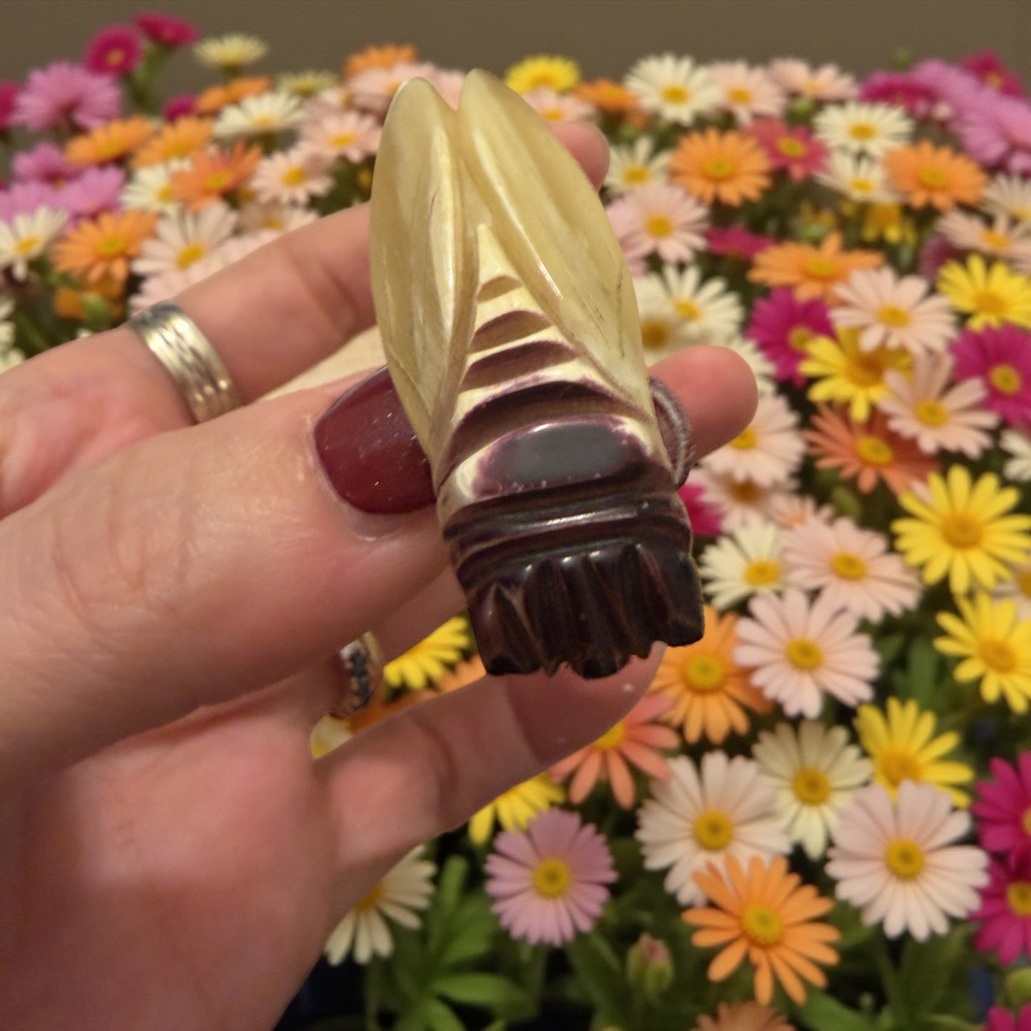 Spilla in corno Art Déco anni 20-30 a guisa di cicala