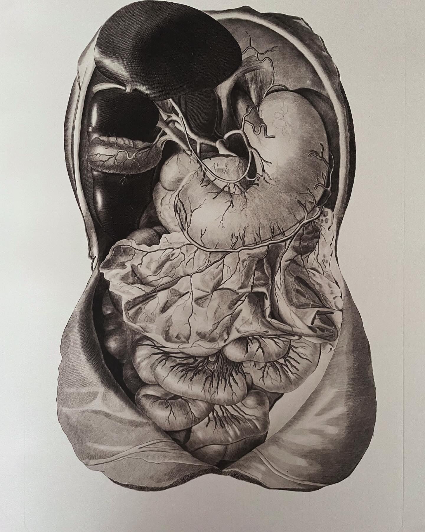 Anatomical Prints Pair 3