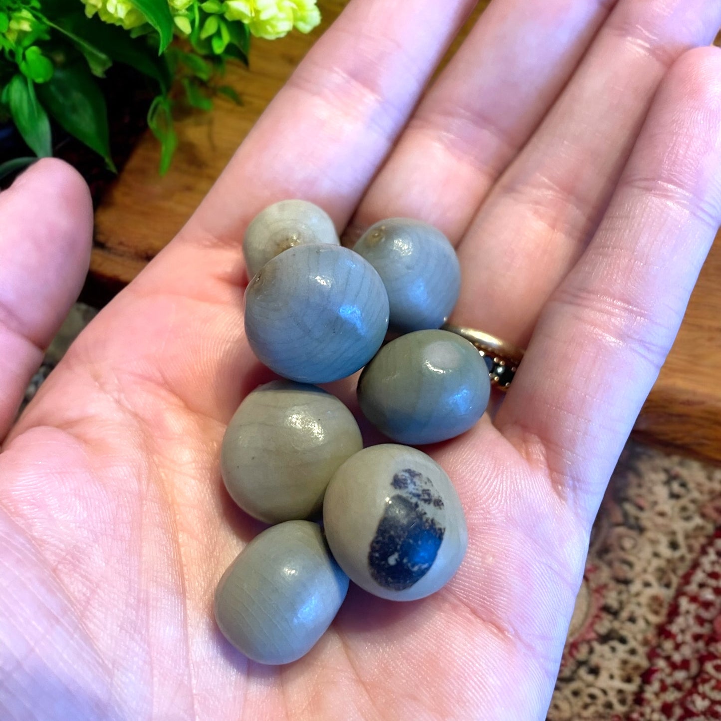 Antico gioco di semina Mancala orientale con semi di palma di montagna