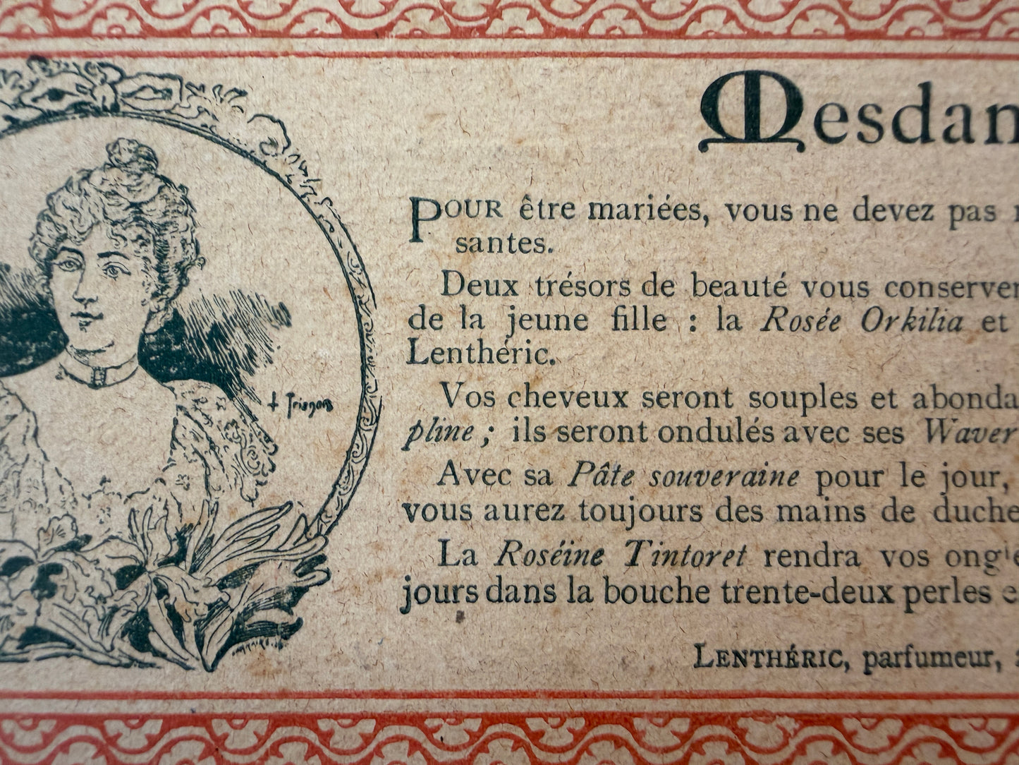 Guanti da sera in pelle sopra gomito mai usati in confezione originale fine ‘800 con cartellino