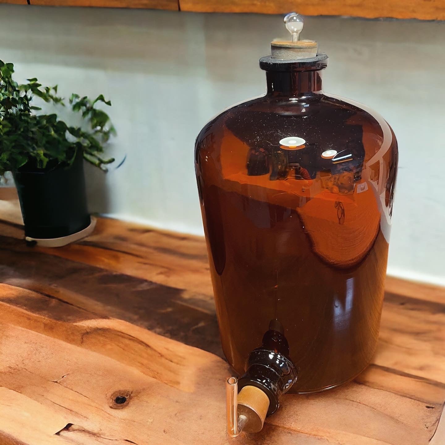 Pair of large glass bottles 1900