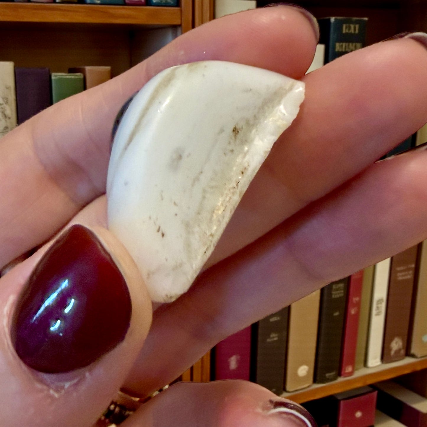 Occhio di vetro modello per protesi oculare medica, fine ‘800 - primo ‘900, blu