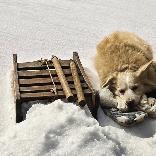 Old ice sled