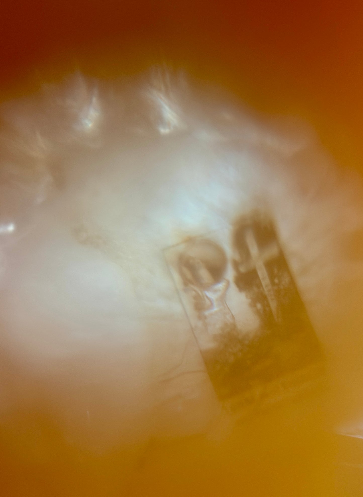 Doppio visore Stanhope a guisa di binocolo, ciondolo antico in osso con micro lenti