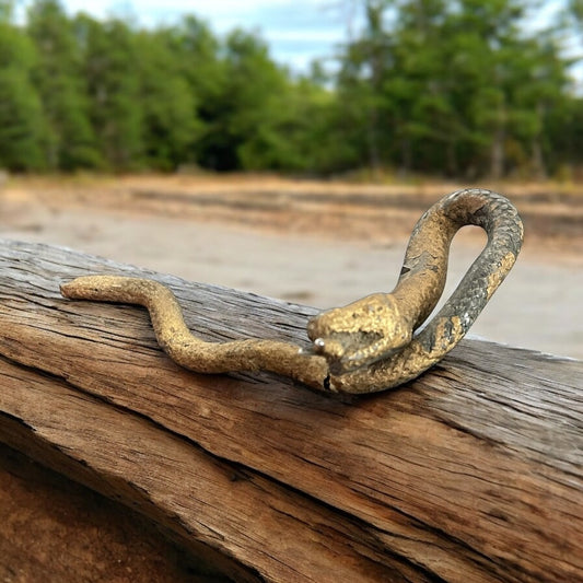 Scultura serpente misterioso