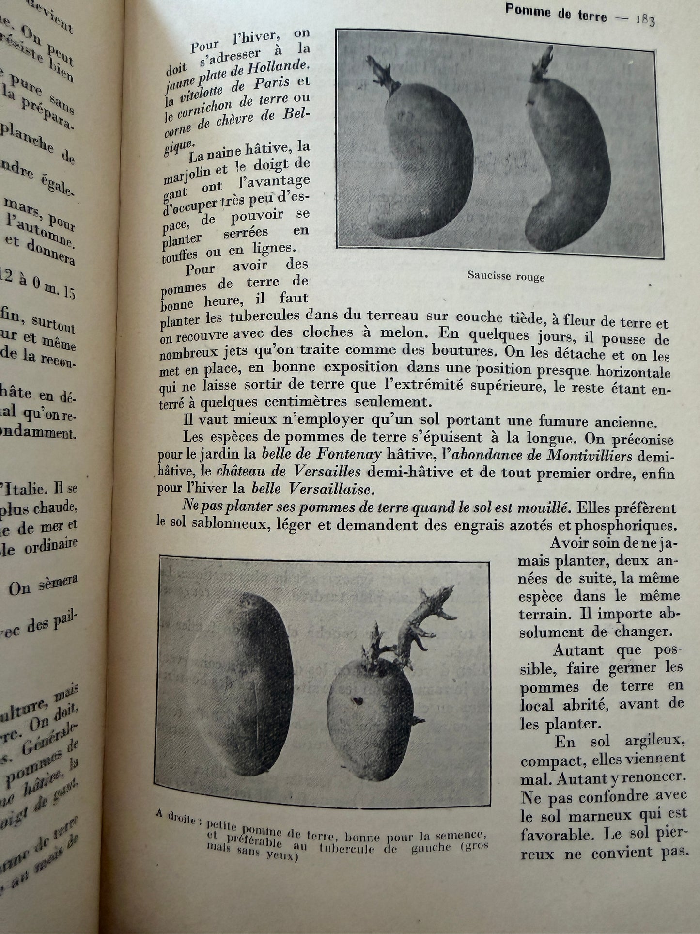 Libro antico sul management della Casa, 1928, illustrazioni in bianco e nero e planches a colori