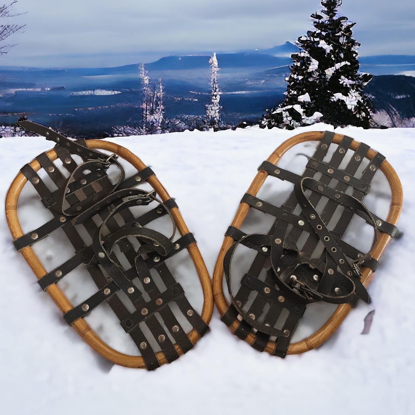 Snowshoes 60's