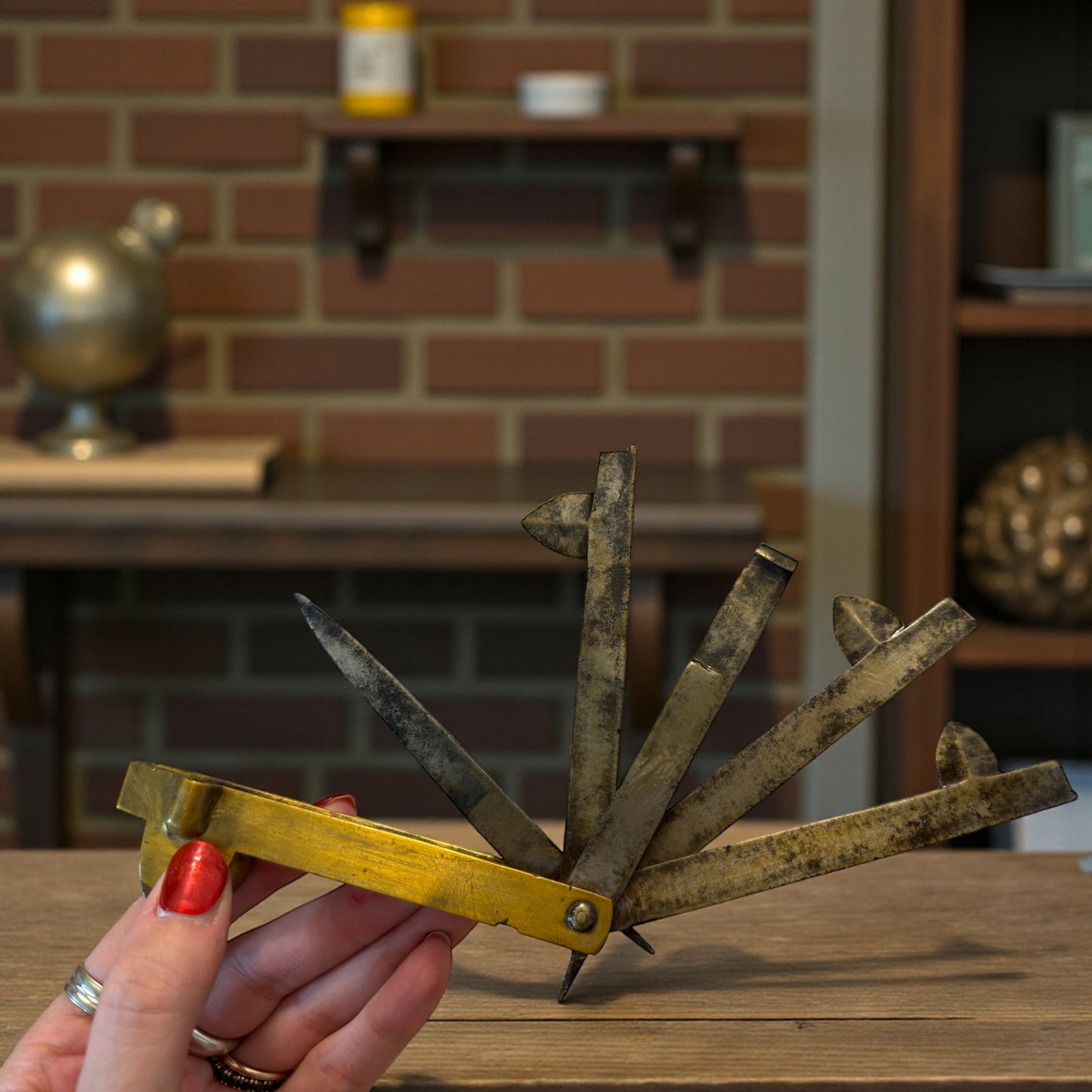 Antico scarificatore, strumento medico veterinario per salassi